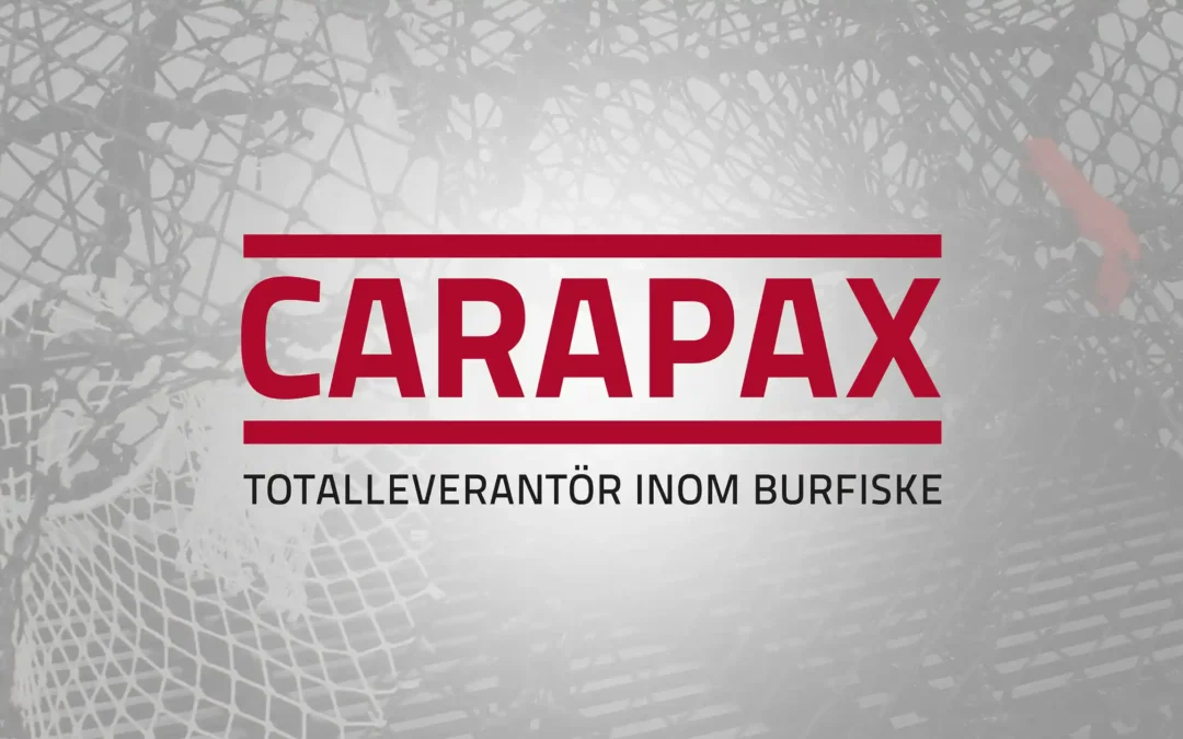 Carapax