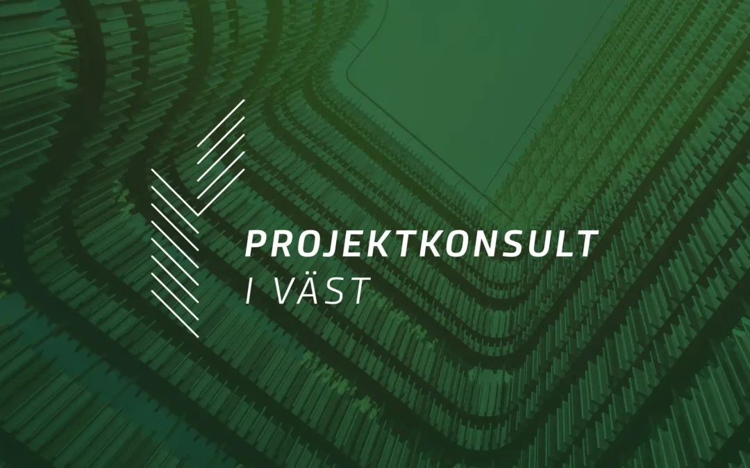 Projektkonsult i väst
