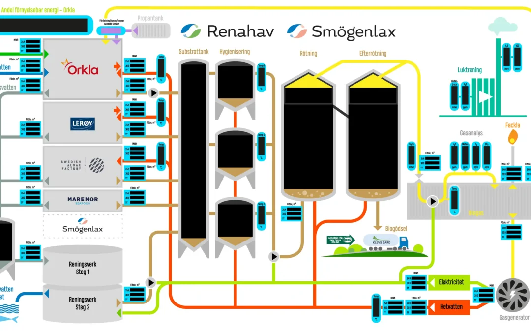 Renahav process