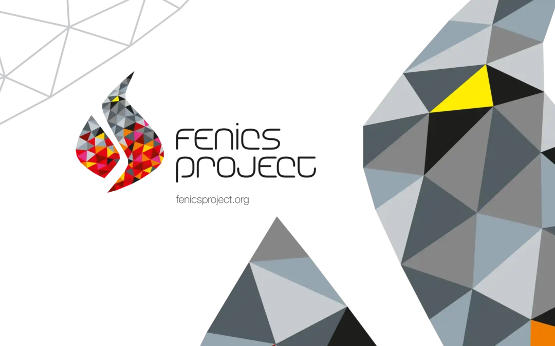 FEniCS project