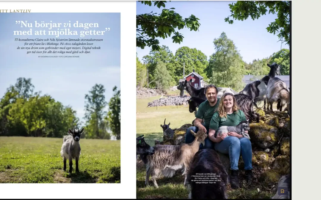 Getbönder och IT-konsulter